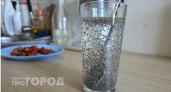 Больше не срываюсь на шоколадки: просто замешиваю эти семена с водой – и наслаждаюсь ощущением сытости