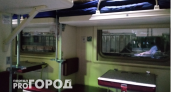 Проводники и транспортная полиция делятся опытом: какие простые привычки реально спасают ваши вещи от краж в поезде