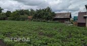 В Чувашии дачница отравилась средством от колорадских жуков и попала в больницу