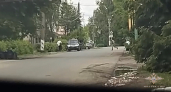 В Чувашии изъяли свыше 170 кг запрещенных веществ из тайника в прицепе