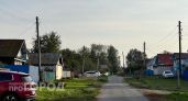 В районе Чувашии ввели карантин по бешенству из‑за заболевшей собаки