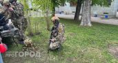 Чувашия заплатит три млн гражданам СНГ, заключившим контракт с Минобороны