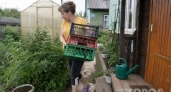 Перестала выбрасывать пластиковые ящики: делюсь пятью способами превратить обычный мусор в садовый клад