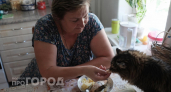 Запомните раз и навсегда: какие продукты со стола категорически нельзя давать кошкам  