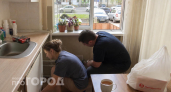 Мокрица в доме – это жирная подсказка: почему ее появление вредно для здоровья домочадцев