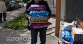 Я накопила пакетов с Ozon и Wildberries и использую в быту: каждый день выручают в хозяйстве