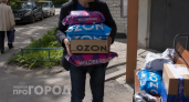 Три вещи, которые нельзя покупать на Wildberries: запомните и расскажите близким