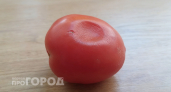 Эксперт поставил точку в вопросе: можно ли есть помидоры с вмятинами
