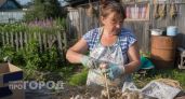 Забудьте про гниль: я нашла способ хранить чеснок до следующего лета без потери сочности и вкуса