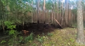 В Заволжье два часа тушили лесной пожар