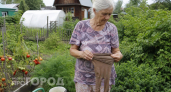 Старые колготки больше не выбрасываю: два действия – и незаменимая вещь в хозяйстве и огороде готова