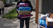 Выбросьте это из корзины: три товара с маркетплейсов, которые принесут вам одни убытки и разочарование
