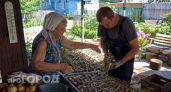 Перестала сушить чеснок на солнце после того как поняла свою ошибку: теперь головки хранятся до мая без порчи