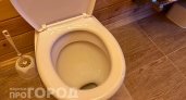 Очищает многолетний известковый налет с унитаза, чайника и крана за ночь