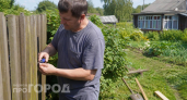 Всем заборам забор: бюджетный, не ржавеет, не просвечивает – никто через него не перелезет