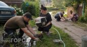 Мир не без добрых людей: посмотрите на эти кадры спасения животных, которые заставят вас улыбнуться сквозь слезы