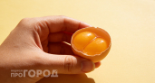 Разбила яйцо, а там два желтка – безопасно ли есть?
