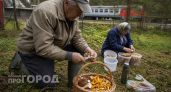 От успеха в девяностых до пенсии в 17 тысяч: почему я потерял всё и какие ошибки совершил на пути к старости