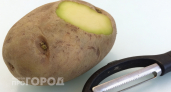 Эксперты дали точный ответ: можно ли есть позеленевший картофель