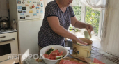 Кожура полезнее самого арбуза: никогда не выкидываю корки – выручают на кухне и в огороде    