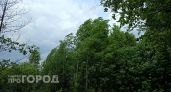 В Чувашию ворвется осень с холодными дождями, но лето быстро перехватит эстафету