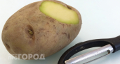 Зеленая картошка на кухне: врач объяснил, в каких случаях ее можно спасти, а когда пора нести на помойку