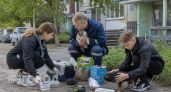 Они были на грани гибели: посмотрите, как меняются брошенные животные после встречи с любящими людьми