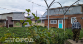 Американец был в шоке, когда увидел российскую дачу с огородом: у них так не бывает