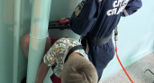 Ребенок застрял между стеной и ливневой трубой в Чебоксарах