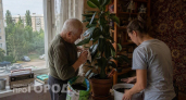 Почему в СССР в каждом доме стоял фикус: забытая традиция, которая была не только для красоты