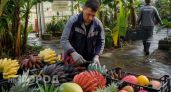 Забудьте про привычные фрукты: в Сочи начали продавать синие и черные бананы со вкусом настоящего мороженого