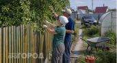 Я годами выкидывала кожуру от яблок, а соседка-агроном делает из нее лучшее удобрение