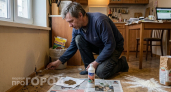 Один лавровый лист – и мыши обходят дом стороной всю зиму: безопасная защита