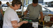 Мир объявил эту ягоду вкусом года и главным суперфудом: у нас растет прямо под забором, а иностранцы в восторге
