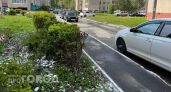 Начало осени грозит принести в Чувашию первые заморозки