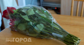 Как продлить жизнь покупным цветам: о лучшем способе нашептала продавщица из цветочного 