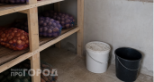 Поставила ведро в углу погреба и забыла о сырости: овощи сухие и здоровые до весны