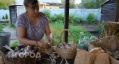 Хватит выбрасывать гнилой чеснок: я нашла простой способ хранения, при котором головки долежат до весны