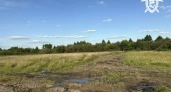 В Чувашии фермера оштрафовали за порчу сельхозземель