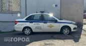 Чебоксарская школьница передала курьеру 15 миллионов, услышав кодовое слово "коза"