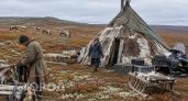 Жизнь в тундре без дорог и тепла: почему эти люди богаче многих горожан и ни за что не променяют свой чум