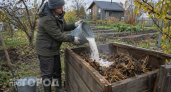 Сгнивают даже доски за пару месяцев: лью осенью 3 ведра этой смеси в компост – почти чернозем