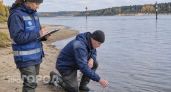 Священная артерия превращается в сточную канаву: почему легендарный Ганг стремительно исчезает с карты мира