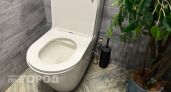 Можно ли смывать воду с открытой крышкой унитаза: запомните ответ навсегда