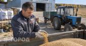 Почему на Кубе дефицит продуктов даже в отелях: честный разбор причин, которые скрывают от всех туристов
