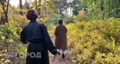 Тепло до +19 градусов и без осадков: погода в Чебоксарах 20 сентября
