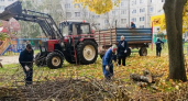 Экологический месячник в Чебоксарах продлится до 3 октября