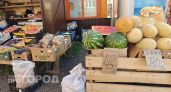 В Чувашию приехали 60 тонн подозрительных дынь