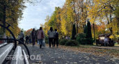 Ученые выявили два возраста, когда мозг резко перестраивается и стареет