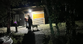 Шесть человек и две собаки спасли со сломавшегося в проливе катера в Чувашии